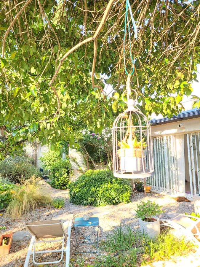 蒙彼利埃Chez Nous Dans Notre Petit Jardin公寓 外观 照片