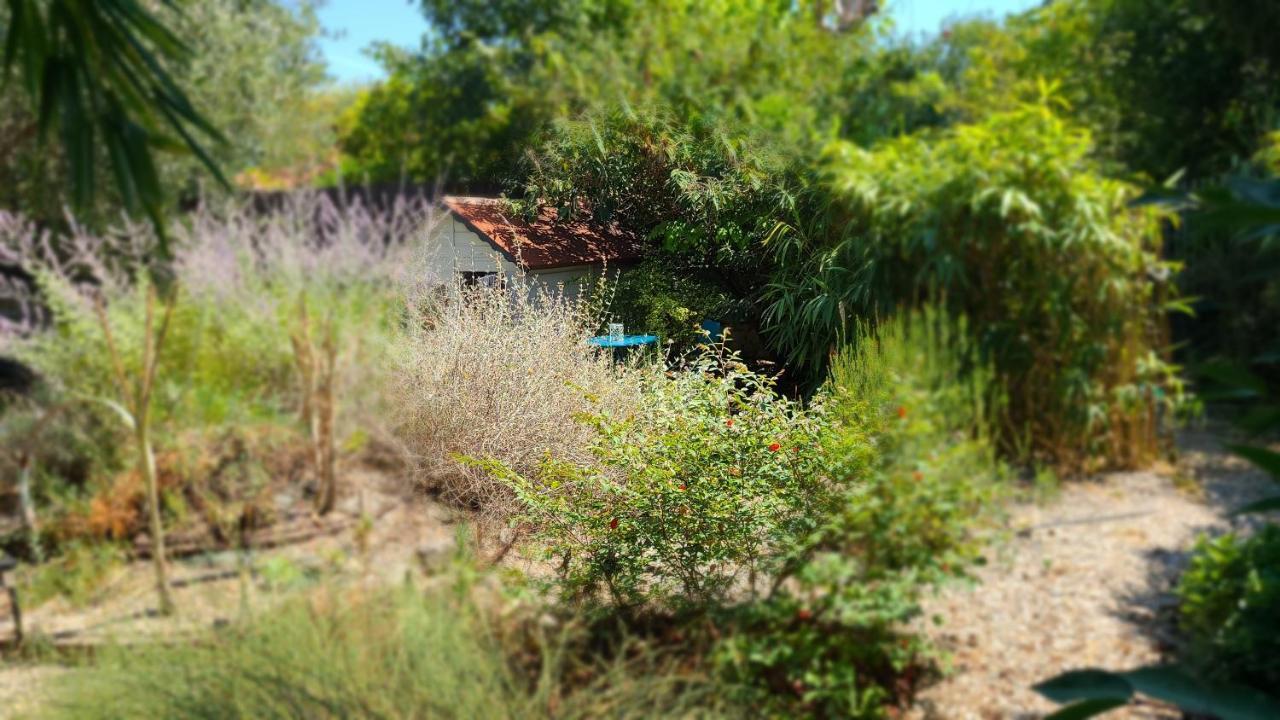 蒙彼利埃Chez Nous Dans Notre Petit Jardin公寓 外观 照片